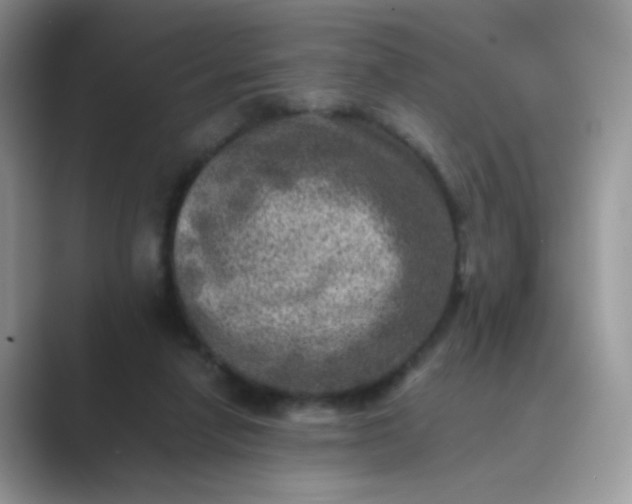 X0000089710258200707051707