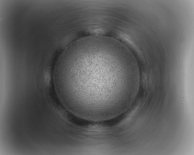 X0000089710259200707051707