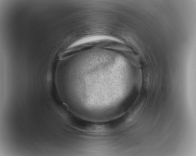 X0000089710260200707051707