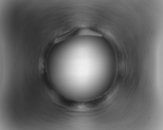 X0000089710264200707051707