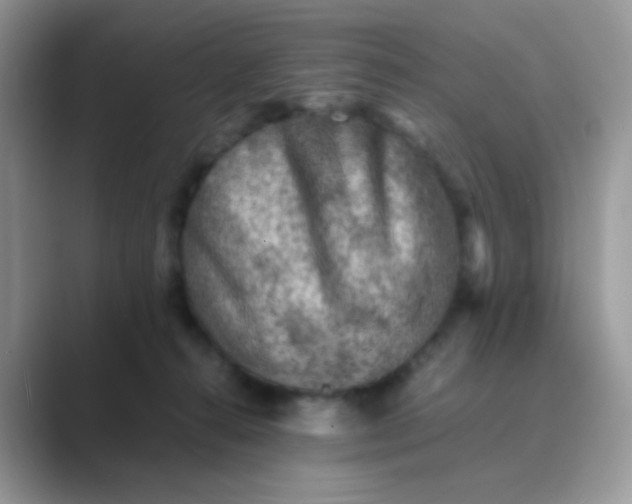 X0000089710272200707051707