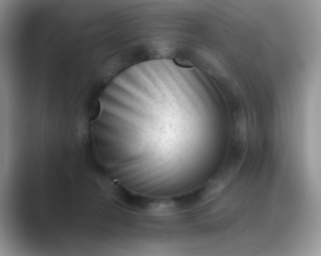 X0000089710274200707051707