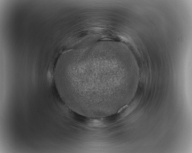 X0000089710285200707051707