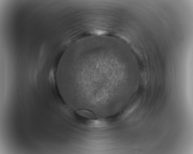 X0000089710286200707051707