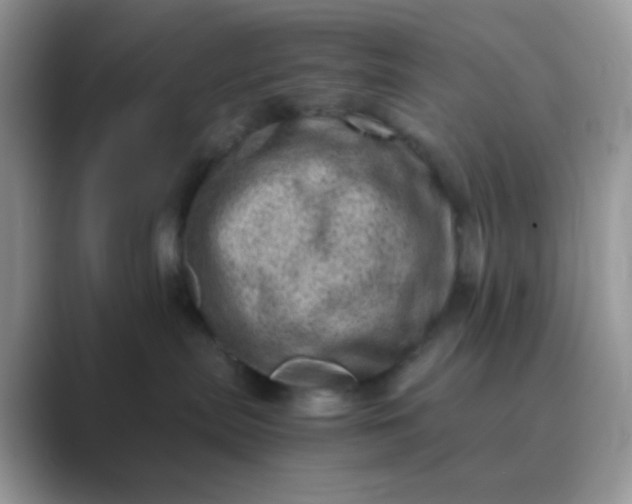 X0000089710287200707051707