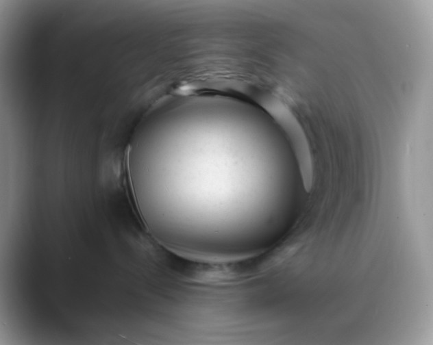 X0000089710288200707051707