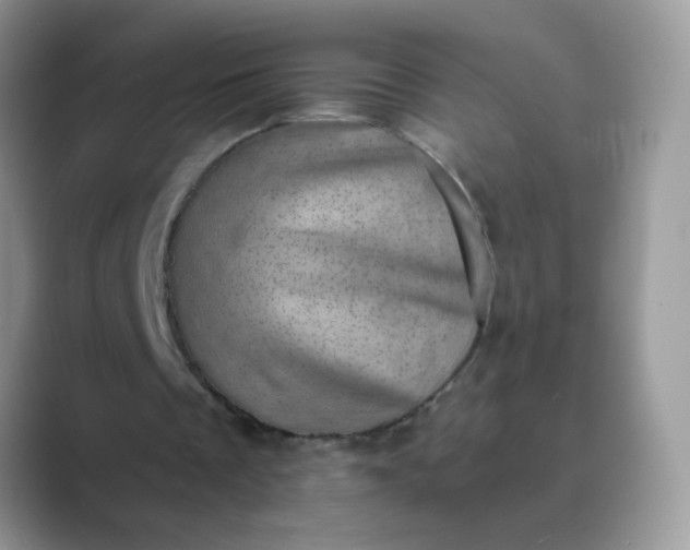 X0000089710289200707051706