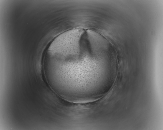 X0000089710290200707051706