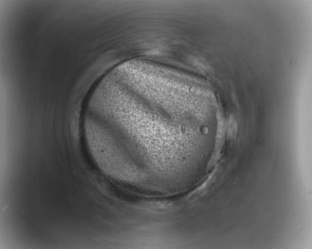 X0000089710291200707051706