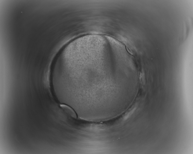 X0000089710292200707051706