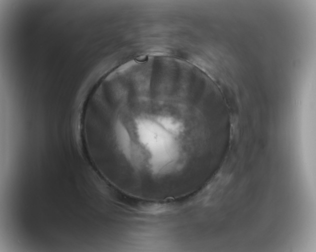 X0000089710293200707051706