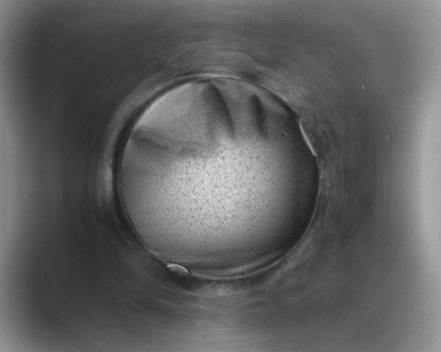 X0000089710294200707051706