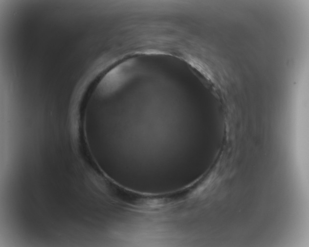 X0000089710295200707051706