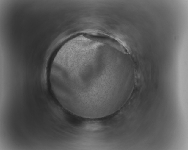 X0000089710296200707051706