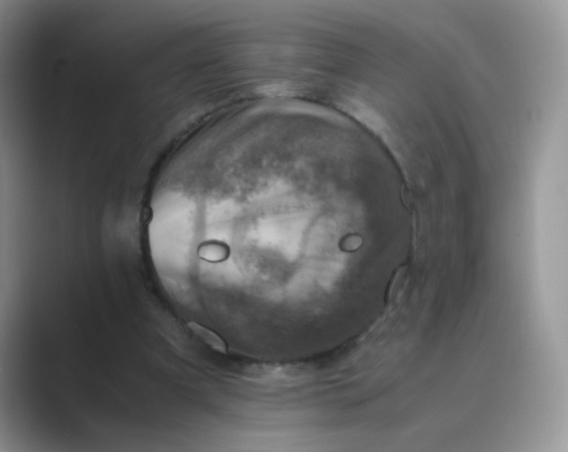 X0000089710297200707051706