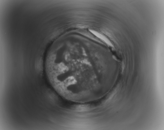 X0000089710303200707051706