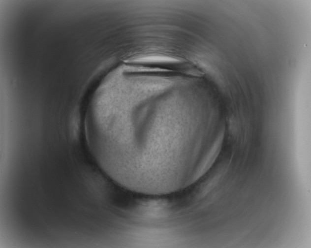 X0000089710304200707051706