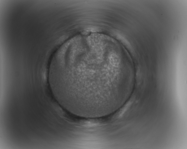 X0000089710305200707051706