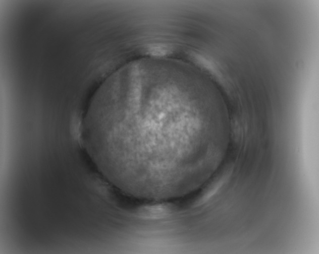 X0000089710307200707051706