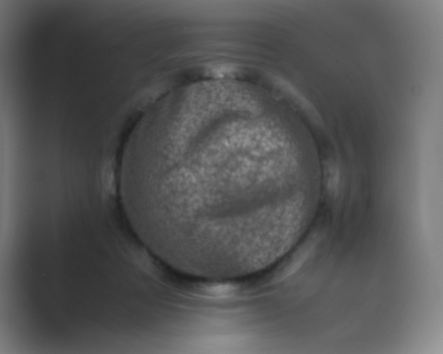 X0000089710313200707051706