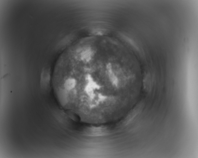 X0000089710314200707051706