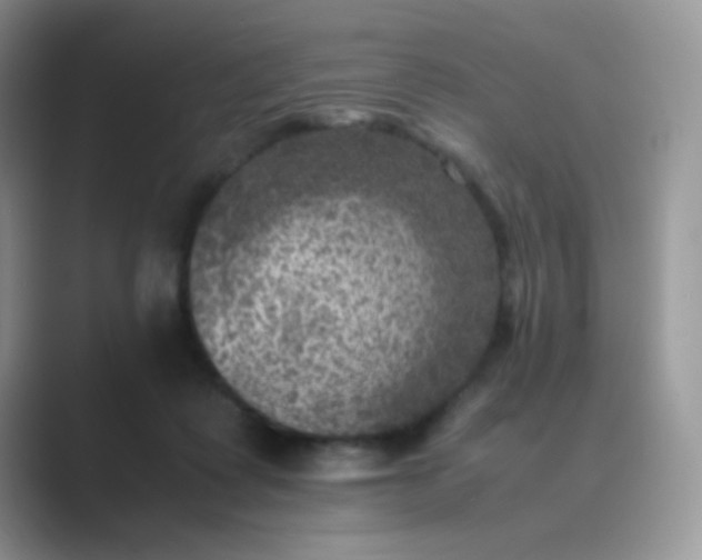 X0000089710315200707051706