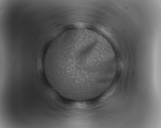 X0000089710317200707051706