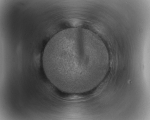 X0000089710319200707051706