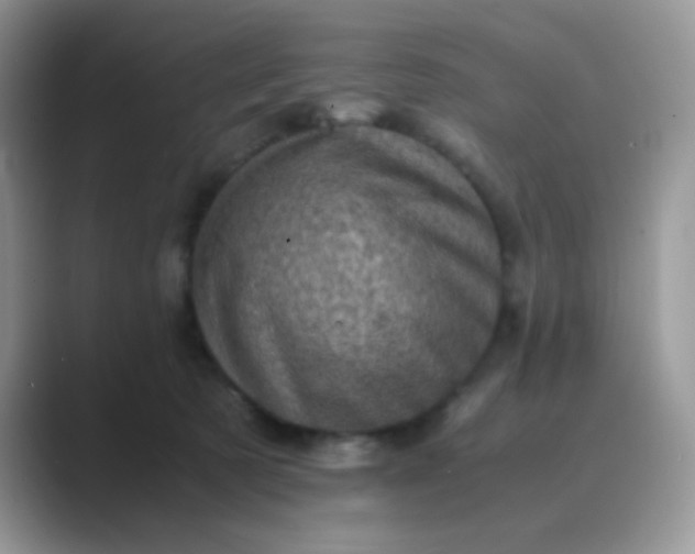 X0000089710321200707051706