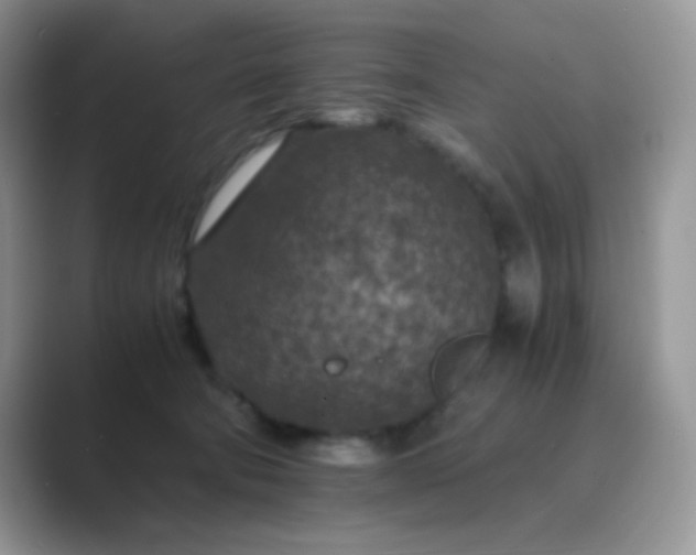 X0000089710322200707051706