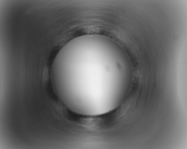 X0000089710323200707051706