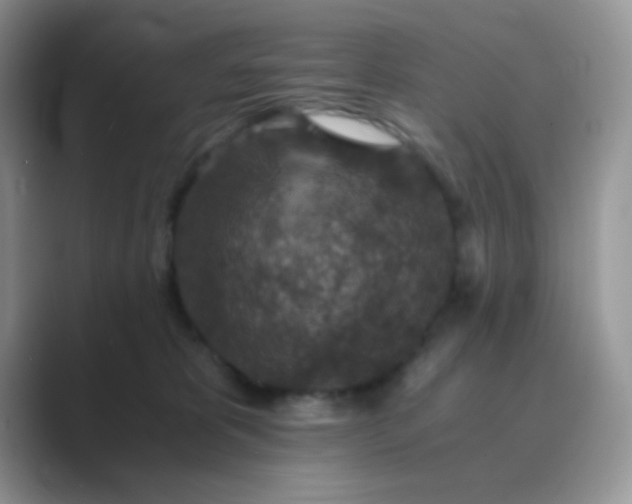 X0000089710325200707051706