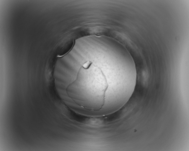 X0000089710327200707051706