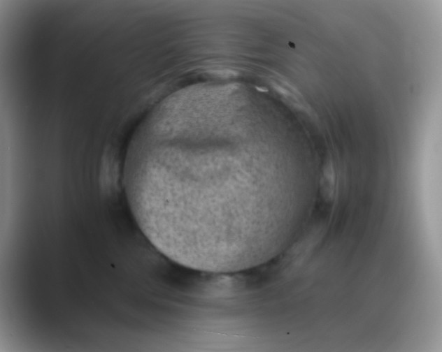 X0000089710330200707051706