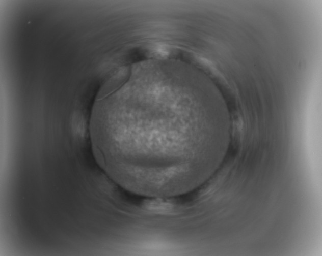 X0000089710331200707051706