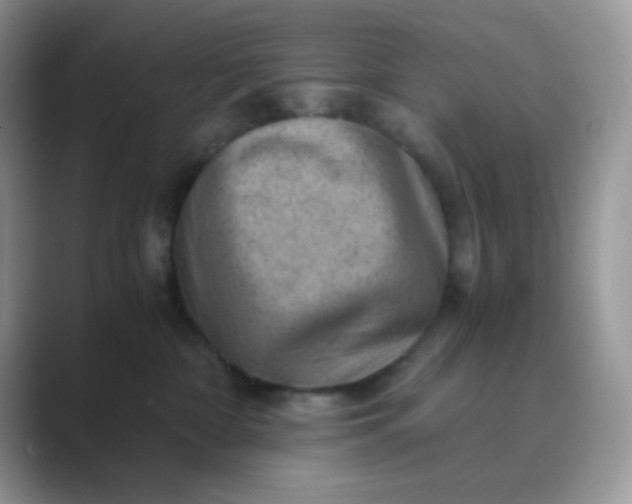 X0000089710332200707051706