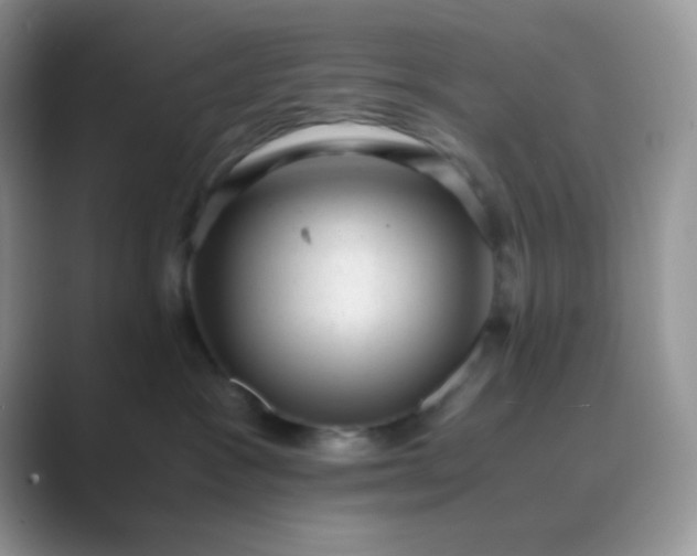 X0000089710333200707051706