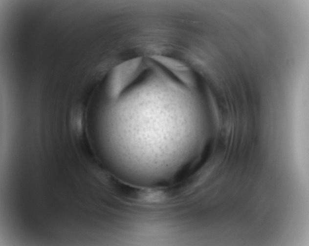 X0000089710334200707051706