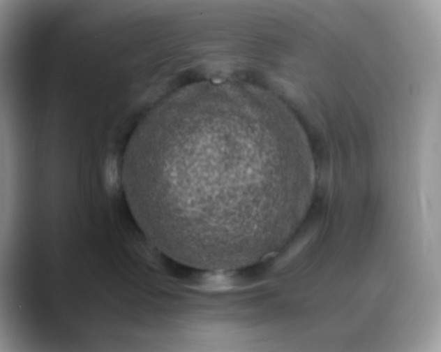 X0000089710335200707051706