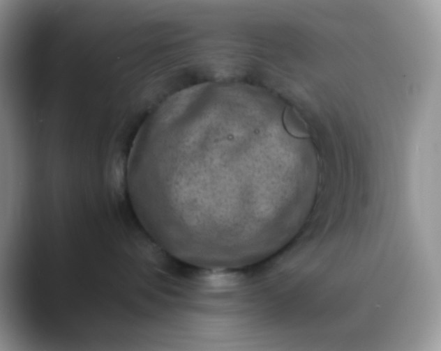 X0000089710336200707051706