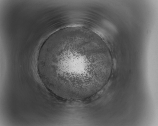 X0000089710337200707051705