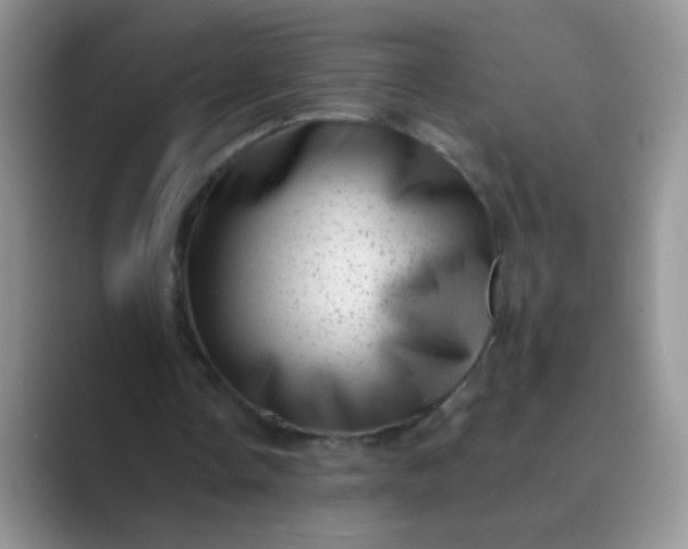 X0000089710338200707051705