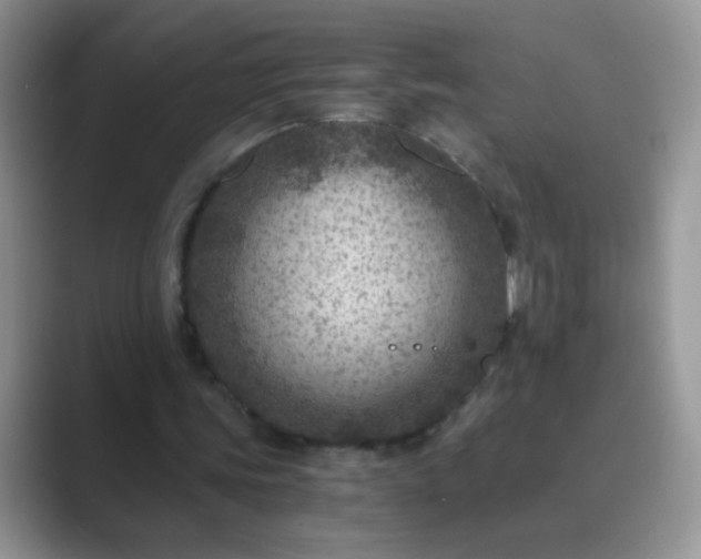 X0000089710339200707051705