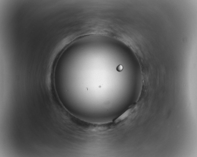 X0000089710340200707051705