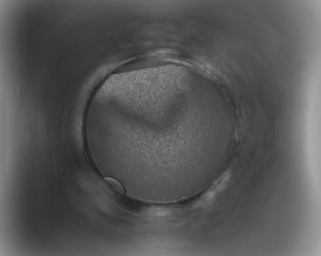 X0000089710341200707051705