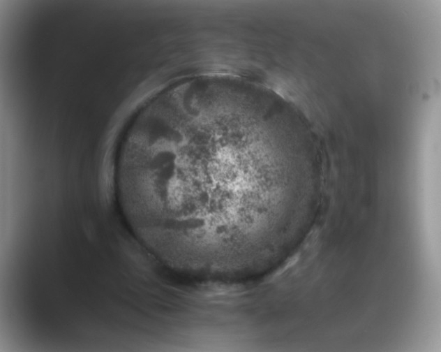 X0000089710343200707051705