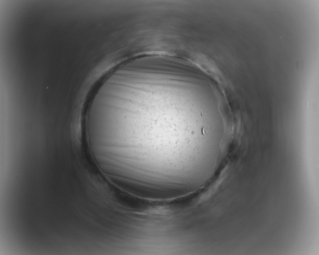 X0000089710344200707051705