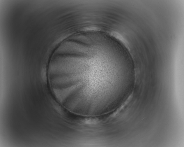 X0000089710345200707051705