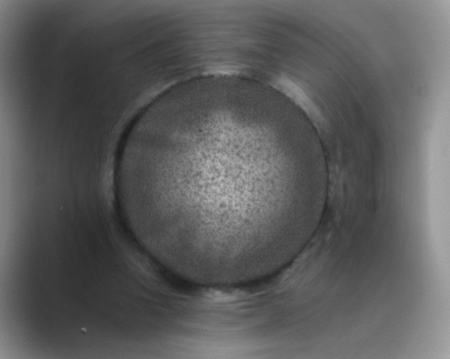 X0000089710346200707051705