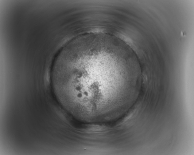 X0000089710347200707051705